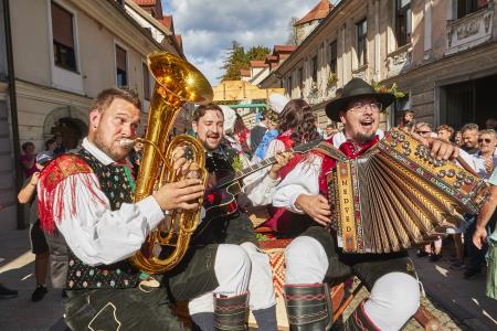 Izjemen obisk zaznamoval 50. Dneve narodnih noš in oblačilne dediščine v Kamniku (Boštjan Tacol)  (27)